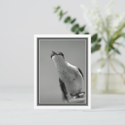 こんにちは ポストカード (スタンド正面)