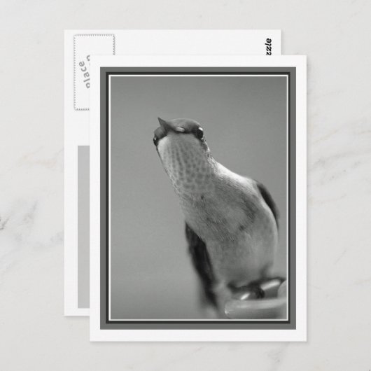 こんにちは ポストカード (正面/裏面)