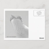 こんにちは ポストカード (裏面)