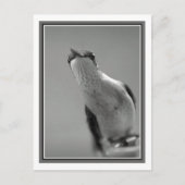 こんにちは ポストカード (正面)