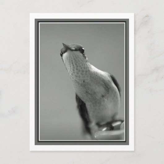 こんにちは ポストカード (正面)