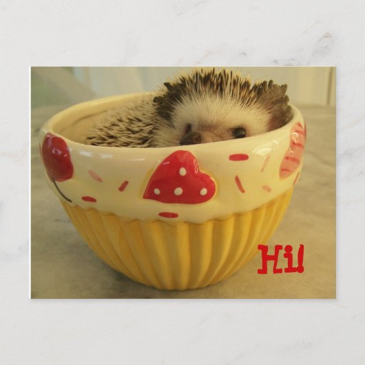 こんにちは! ポストカード (正面)