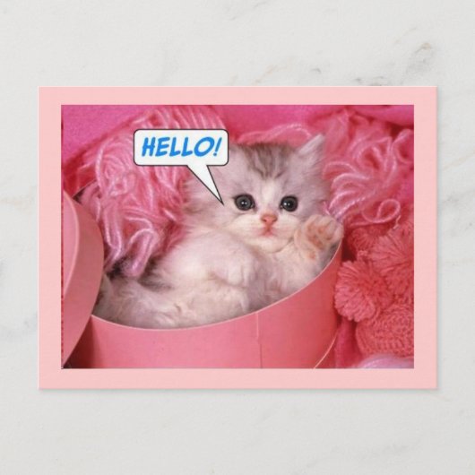 こんにちは ポストカード (正面)