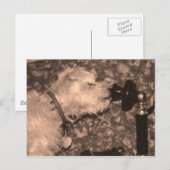 こんにちは ポストカード (正面/裏面)