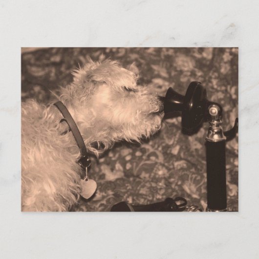 こんにちは ポストカード (正面)