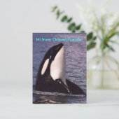 こんにちは ポストカード (スタンド正面)