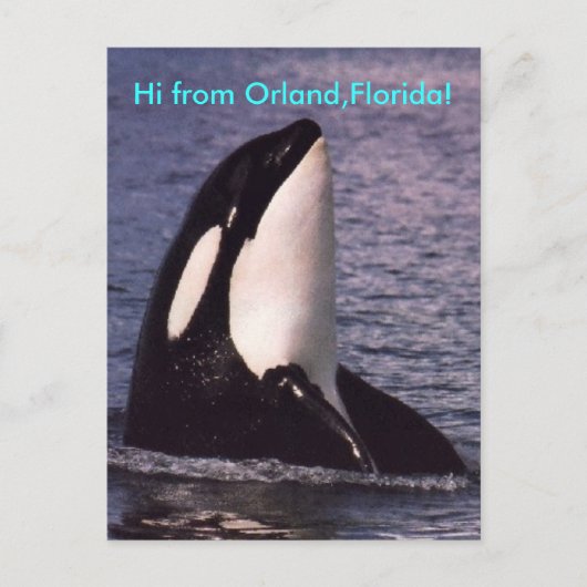 こんにちは ポストカード (正面)