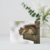 こんにちは ポストカード (スタンド正面)