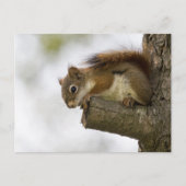 こんにちは ポストカード (正面)