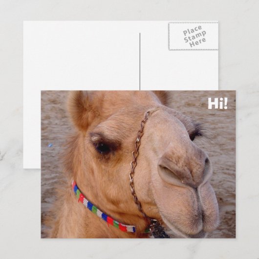 こんにちは! ポストカード (正面/裏面)