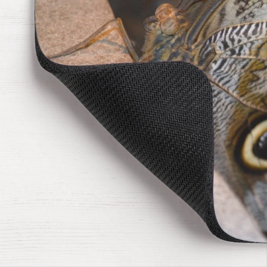 こんにちは! マウスパッド (コーナー)