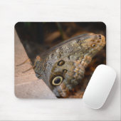 こんにちは! マウスパッド (マウス)