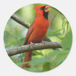 こんにちは！ ラウンドシール