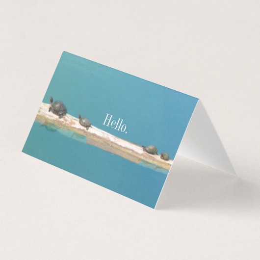 「こんにちは」亀の家族のグリーティングカード (正面)