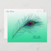 こんにちは、保のTouch孔雀の羽根 ポストカード (正面/裏面)