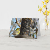 こんにちは! 内空白の部 カード (黄色い花)