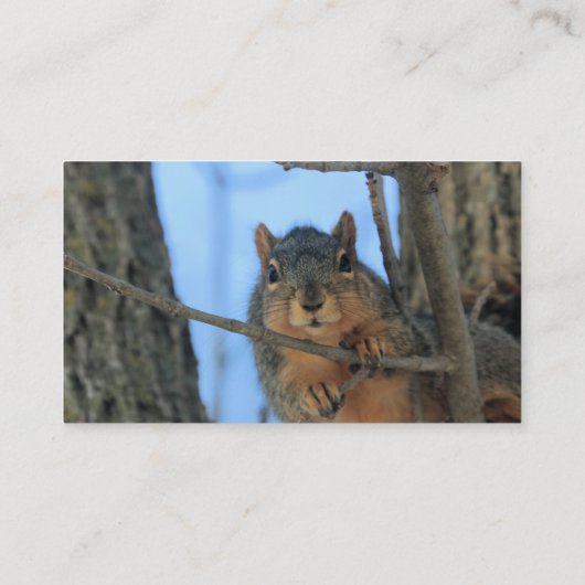 こんにちは 名刺 (裏面)