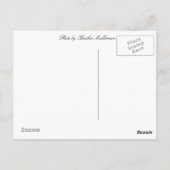 こんにちは…山ルシュモア ポストカード (裏面)