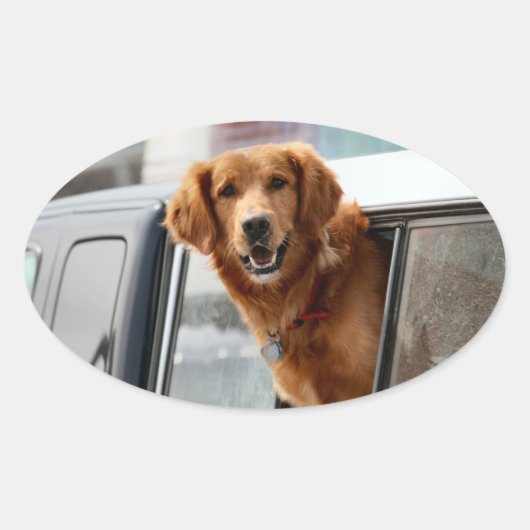 こんにちは 楕円形シール (正面)