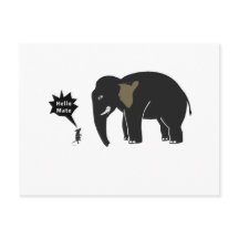 こんにちは、相棒！