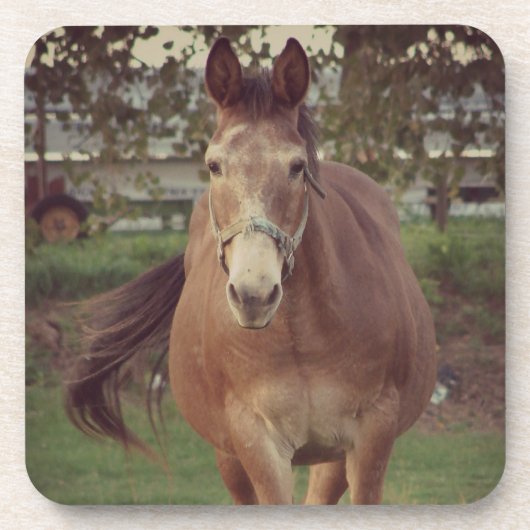 こんにちは、私はあなたに会った コースター (正面)