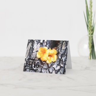 こんにちは 空白のグリーティングカードに黄色のハナオカンザ（アラマンダ） サンキューカード