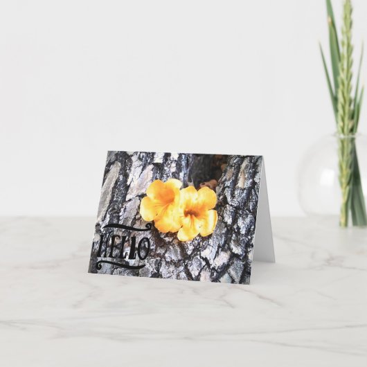 こんにちは 空白のグリーティングカードに黄色のハナオカンザ（アラマンダ） サンキューカード (正面)