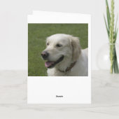 こんにちは、考えゴールデンレトリバーの子犬のカード カード (裏面)