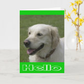 こんにちは、考えゴールデンレトリバーの子犬のカード カード (黄色い花)