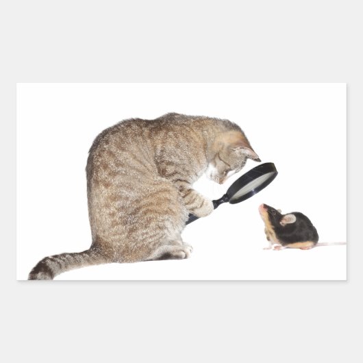 こんにちは?! 長方形シール (正面)