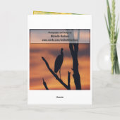 こんにちは-黒目のSusansの挨拶状 カード (裏面)