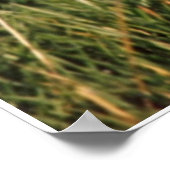 こストップここ ポスター (角)