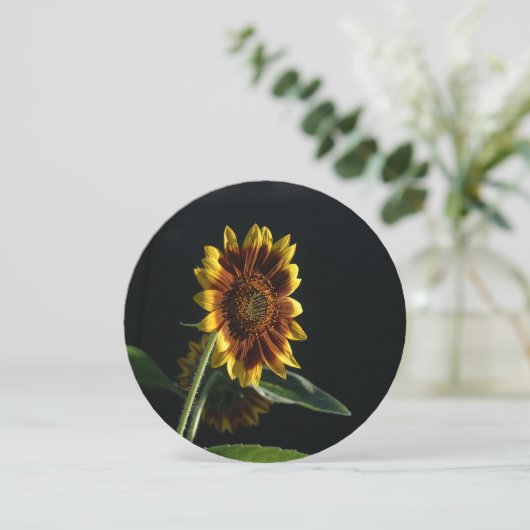 こ来こにヒマワリ。 招待状 (スタンド正面)