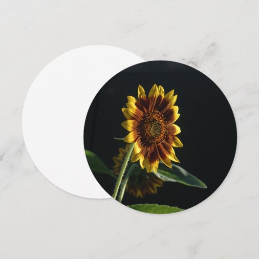 こ来こにヒマワリ。 招待状 (正面/裏面)