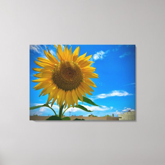 こ来この太陽 キャンバスプリント (正面)