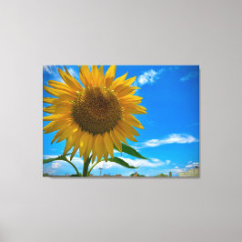 こ来この太陽 キャンバスプリント