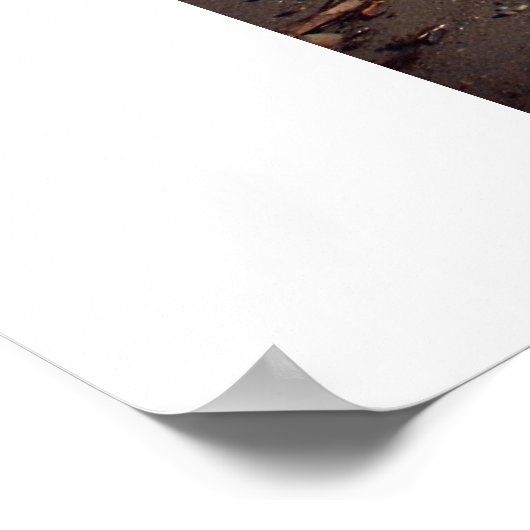 こ来この波 ポスター (角)