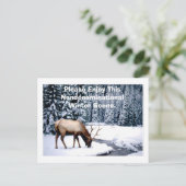 こ楽しむの非宗派的な冬のシーンをお願いします。 ポストカード (スタンド正面)