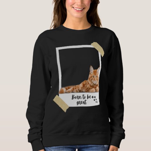 こ生まれこの可愛いオレンジメ素晴らしーヌクーン猫キット スウェットシャツ (正面)