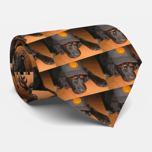 こ離れのハロウィンの後ろに ネクタイ (ロール)