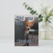 「ごちそうさま？」 コーギカード ポストカード (スタンド正面)