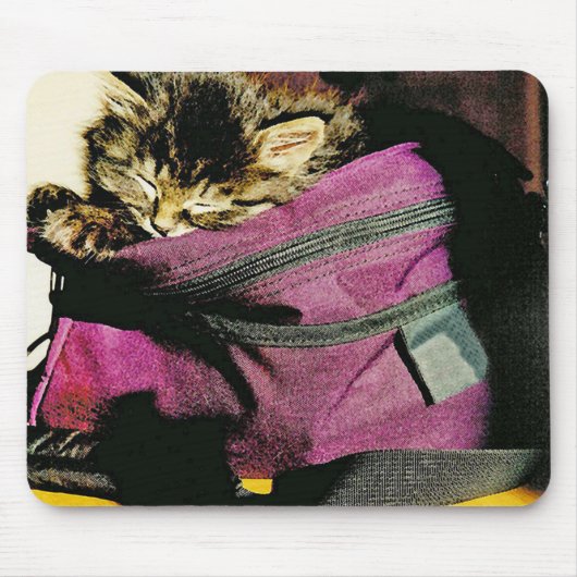 ごちゃごちゃな財布の中で眠っている子猫 マウスパッド (正面)
