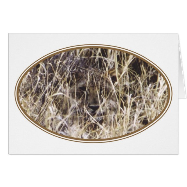 ごまかされたSimba (ライオン) (正面横)