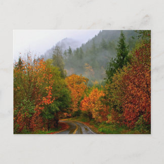 ごまかしの道の郵便はがき ポストカード