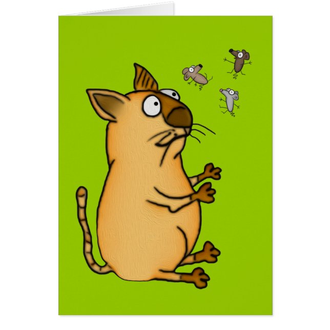 ごまかす猫 (正面)