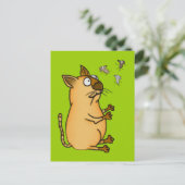 ごまかす猫 ポストカード (スタンド正面)