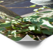 ごみ箱に入ったリス ポスター (角)