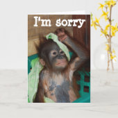 ごめんごめん カード (黄色い花)