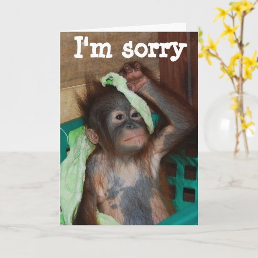 ごめんごめん カード (黄色い花)