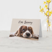 ごめんなさい許して下さい カード (黄色い花)